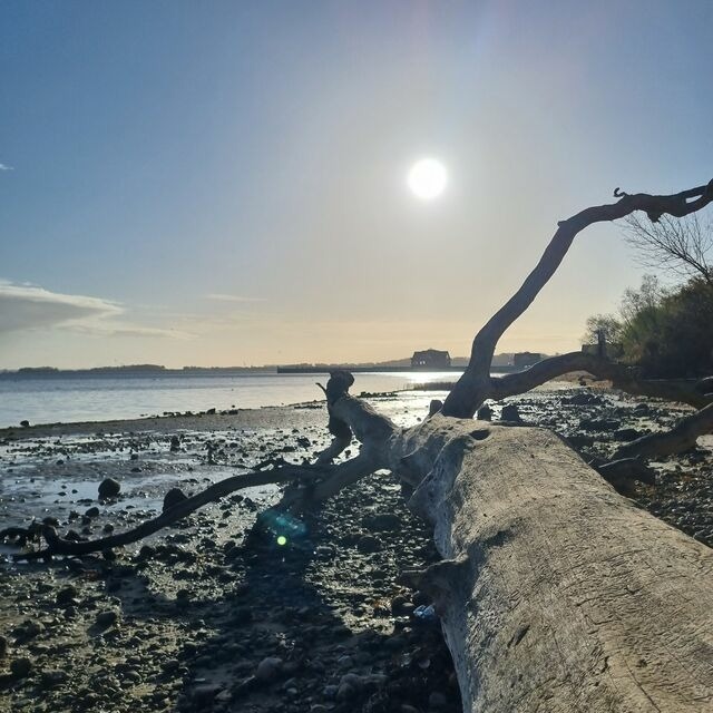 Ferienwohnung in Hohen Wieschendorf - Ferienwohnung "K&uuml;stenkr&uuml;mel No. 16 - Aurora Vista" - Bild 23