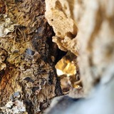 Ferienwohnung in Hohen Wieschendorf - Ferienwohnung "K&uuml;stenkr&uuml;mel No. 16 - Aurora Vista" - Bild 24