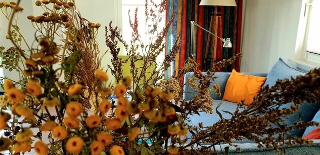 Ferienhaus in Zierow - Reethaus "H.A.L.O" - Bild 3