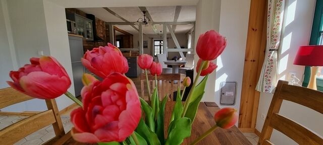 Ferienhaus in Zierow - Ferienhaus "Alma" - Bild 23