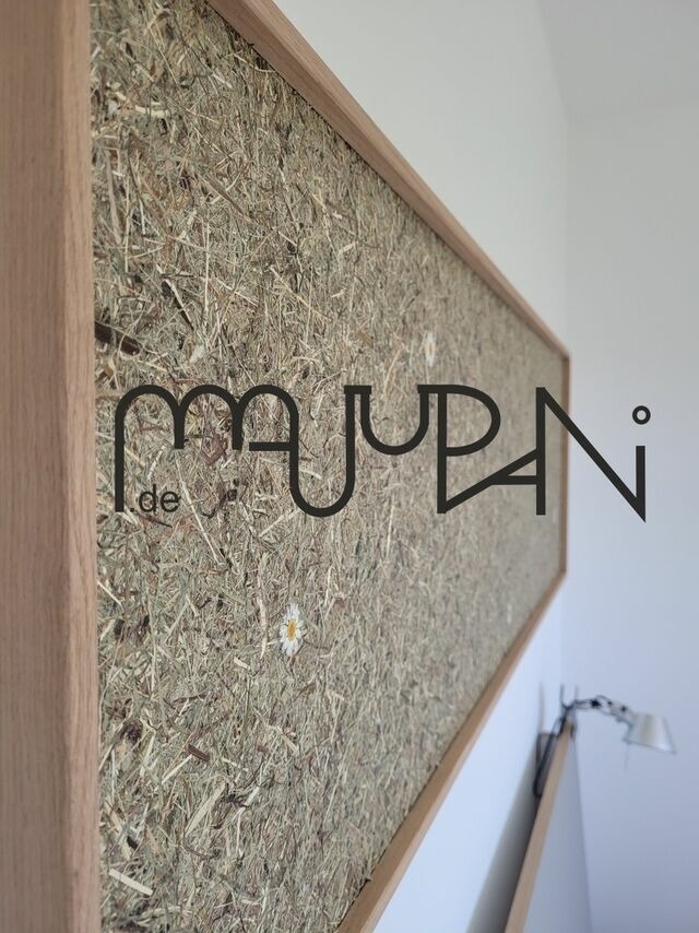 Ferienhaus in Zierow - Reethaus "Majupani" - Bild 15