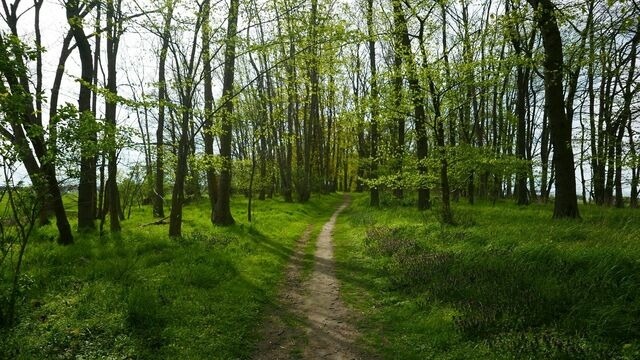 Ferienhaus in Zierow - Reethaus "Utkiek" - Bild 23