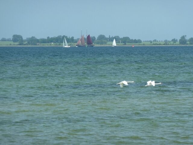 Ferienhaus in Zierow - Reethaus "Hygge Huus" - Bild 20