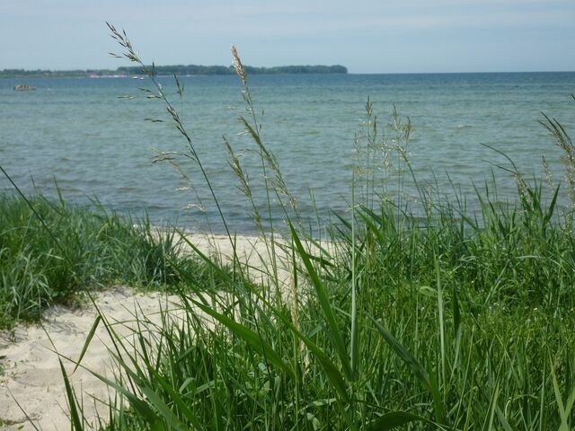 Ferienhaus in Zierow - Reethaus "Hygge Huus" - Bild 21