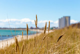 Ferienwohnung in Fehmarn OT Burgtiefe - Apt. Marina408 - Hafenrundblick & direkt am Strand - Bild 25