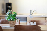 Ferienwohnung in Gr&ouml;mitz - Ferienwohnung am Deich - Bild 18